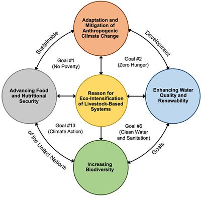 Integrating Animal Husbandry With Crops and Trees